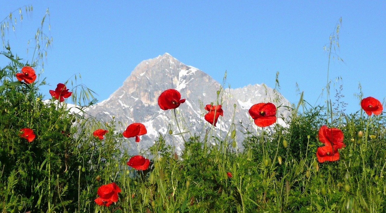 Territorio in contrasto